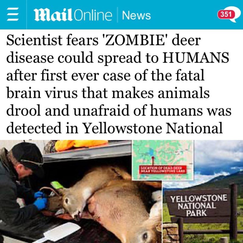 ⚡️Zombie virus, který přemohl jeleny ve Spojených státech, by se mohl rozšířit na lidiNem...