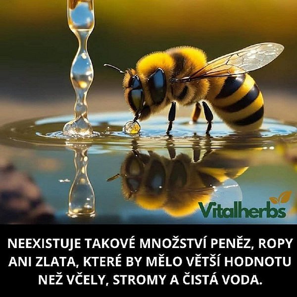 Telegramové zprávy 27.květen 2025