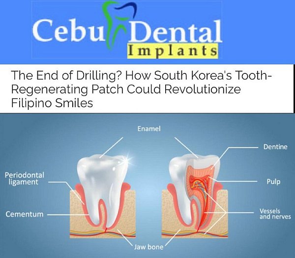 Telegramové zprávy 18.listopad 2025