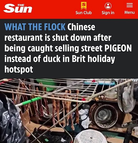 Telegramové zprávy 12.leden 2026