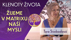 #98 Tara Svobodová: Nejčastější konstrukty mysli (způsobené oddělením od zdroje) Klenoty života