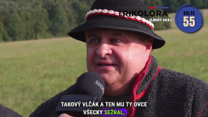 Bača ví, co je dobré - Nebuďte ovce, volte s rozumem, volte Trikoloru - č. 55
