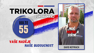 David Nepimach (Trikolora) - Proč politici nenesou trestní odpovědnost za svá špatná rozhodnutí?