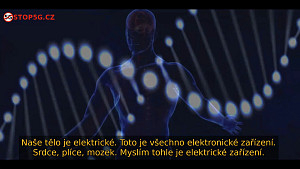 DOLŮ K ZEMI - Záněty jako Zdroj u mnoha Nemocí a Uzemnění