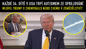 Donald Trump - Sestřih ze setkání s guvernéry v Bílém domě 21.2. 2025 | české titulky #trump #rfk