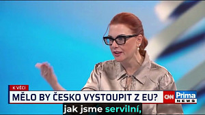 Jak to bylo s oním přirovnáním EU k Hitlerovi?