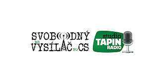 Láďa z Kanady: Místo zločinné korupce, ctihodný lobbing! Proč systém politických stran nefunguje
