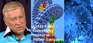Lidská řeč – Genetický materiál – Chromozómový Generátor – Peter Gariaev 