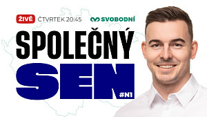 Mezinárodní vztahy a Evropská unie - #N1 Společný sen 2035 vize Libora Vondráčka
