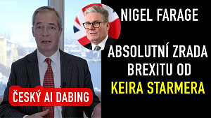 Nigel Farage - Starmer zradil Brexit a za Johnsona se přistěhovalo milión lidí | český dabing