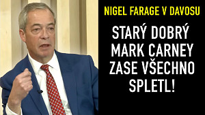 Nigel Farage v Davosu - Nemám rád Brusel a ty hrozné autokratické struktury, které vybudoval