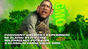 Podvodný americký experiment se zlatou rýží v Číně: Militarizace potravin a globální parní válec GMO