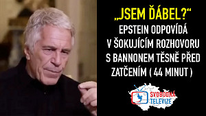POSLEDNÍ ROZHOVOR EPSTEINA PŘED ZATČENÍM (nikdy neměl vyjít ven) | český dabing