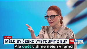 Radši budu chudší, ale svobodná.  Dotace jsou často nespravedlivé a křiví trh