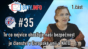RDH 035 - PhDr. Vladimíra Vítová, Ph.D. 1.část - Pro vystoupení z NATO není potřeba referendum