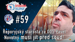 RDH 059  Skandální selhání české justice v kauze starosty Pavla Novotného!
