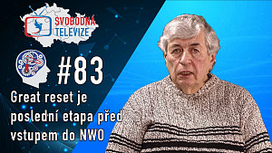 RDH 083 Ing. Jaroslav Tichý - GESARA, NESARA a poslové budoucnosti