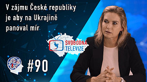 RDH 090 Ing. Marie Pošarová - Korespondenční volby jsou porušením ústavy