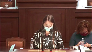 Tereza Hyťhová - Kurzarbeit