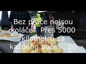 Trikolorajede 2019