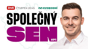 ?? Veřejné finance / Daně - #P1 Společný sen 2035 vize Libora Vondráčka