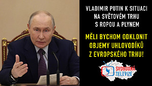 Vladimir Putin - Schůzka o situaci na světovém trhu s ropou a plynem | český AI dabing #putin