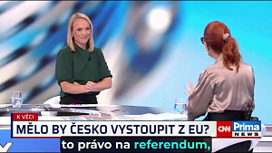 Zájmy českých občanů musíme hájit i v institucích, které nemáme rádi
