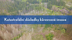 Zkáza Šumavy