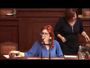 Zuzana Majerová -  interpelace ministra Kremlíka - protihluková zeď na D1 u Podolí - 5.12.2019