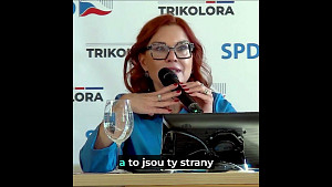 Zuzana Majerová - Nadcházející volby do EP jsou jedinečnou šancí pro euroskeptického voliče