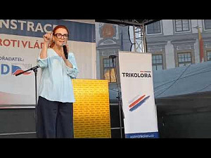 Zuzana Majerová o spolupráci s SPD a nezávislými odborníky - demonstrace České Budějovice