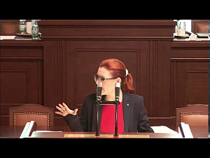 Zuzana Majerová - povinná maturita z matematiky - 6.12.2019