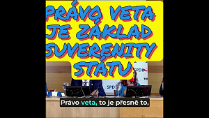 Zuzana Majerová - Právo veta je základ suverenity státu