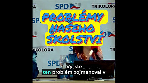 Zuzana Majerová - Problémy českého školství